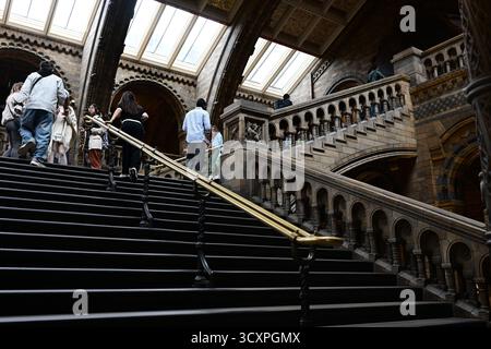 London, Vereinigtes Königreich, 7. Oktober 2025. Innenraum der Großen Eingangshalle des Natural History Museum in South Kensington. Die Haupttreppe. Stockfoto