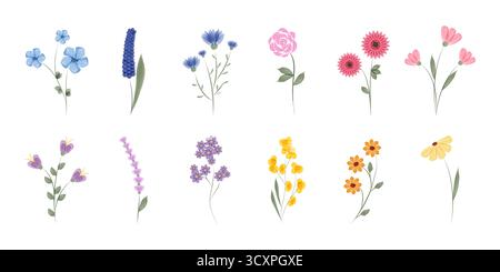 Ein Satz von zehn Aquarellen, die verschiedene Arten von Blumen darstellen. Jede Blume hat eine einzigartige Farbe und Form, wodurch eine vielfältige und schöne Kollektion entsteht. Stock Vektor