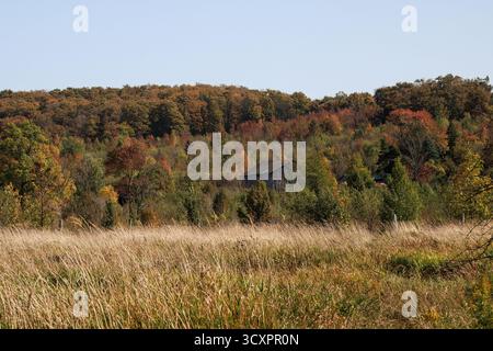 Malerische Herbstscheune auf dem farbenfrohen Hügel mit goldenen Gräsern und blassblauem Himmel Stockfoto