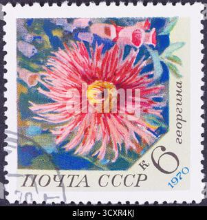 Eine Nahaufnahme einer rosafarbenen Blüte auf einer alten UdSSR-Briefmarke vor einem blau-rosa floralen Hintergrund. Stockfoto