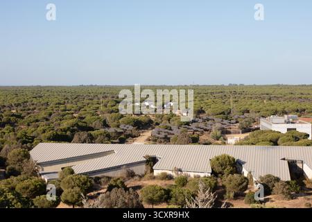 Donana Nationalpark, Andalusien, Spanien. August 2025. Weite Sicht auf Kiefernwälder und Naturschutzeinrichtungen im Naturschutzgebiet. Stockfoto