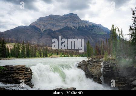 Majestätische Bergkulisse mit mächtigen Wasserfällen. Athabasca Falls, Jasper National Park Stockfoto