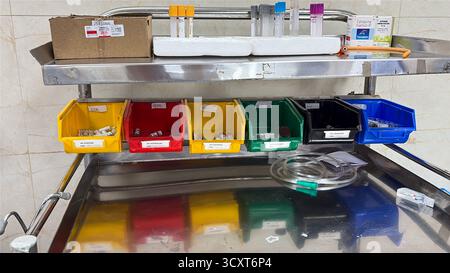 Wichtige Medikamente und Fläschchen in der Notaufnahme in bunten Plastikbehältern organisiert Stockfoto