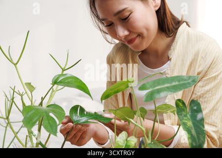 Junge asiatische Frau, die zu Hause den Baum pflegt, sanft die grünen Blätter berührt und beobachtet, genießt die Gartenarbeit als entspannende Öko-Freundin Stockfoto