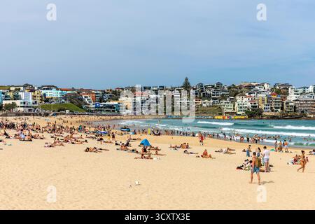 Besucher entspannen sich am Sandstrand von Bondi Beach und genießen die Sonne und das Surfen. Die Leute schwimmen, sonnen sich und treffen sich an einem warmen Nachmittag. Bondi Beach, S Stockfoto