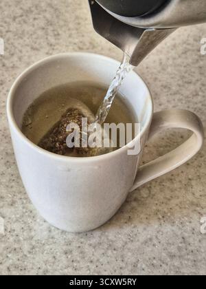 Verpackter Kräutertee, gebrüht in einer Tasse Stockfoto