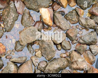 Steine und Kieselsteine in flachem Wasser mit glatten und rauen Oberflächen. Kopierraum. Stockfoto