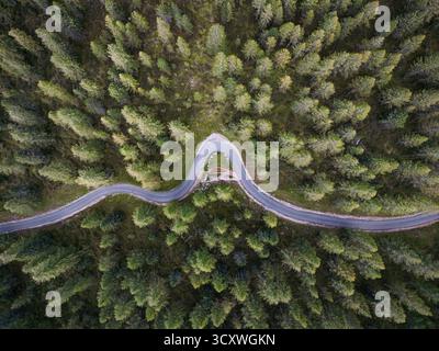 Drohnenblick auf eine gewundene Bergstraße. Idyllische kurvige Straße im Wald. Dolomiten, Italien Stockfoto