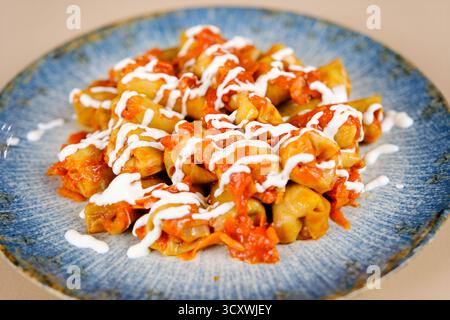 Gefüllte Kohlblätter. Kohl-Wicklungen. Chou farci, Dolma, Sarma, Golubtsy oder Golabki. Flache Lage, Layout, Überkopf. Hochwertige Fotos Stockfoto