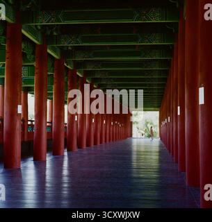 Traditioneller hölzerner Korridor mit roten Säulen und grünen Danceong-Mustern in Gyeongju, Südkorea – Filmfoto auf Rolleiflex Stockfoto