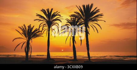 Meereslandschaft am frühen Morgen. Damm mit Palmen während eines wunderschönen Sonnenaufgangs. Promenade mit Palmen. San Juan Beach, Alicante, Spanien. Horizont Stockfoto