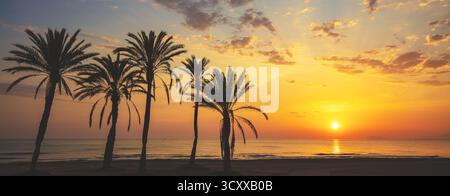 Meereslandschaft am frühen Morgen. Damm mit Palmen während eines wunderschönen Sonnenaufgangs. Promenade mit Palmen. San Juan Beach, Alicante, Spanien. Horizont Stockfoto