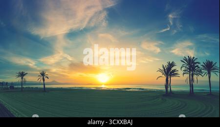 Meereslandschaft am frühen Morgen. Damm mit Palmen während eines wunderschönen Sonnenaufgangs. Promenade mit Palmen. San Juan Beach, Alicante, Spanien Stockfoto