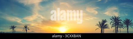 Meereslandschaft am frühen Morgen. Palmen am Strand bei einem wunderschönen Sonnenaufgang. San Juan Beach, Alicante, Spanien. Horizontales Banner Stockfoto