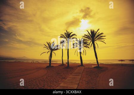 Meereslandschaft am frühen Morgen. Damm mit Palmen während eines wunderschönen Sonnenaufgangs. Promenade mit Palmen. San Juan Beach, Alicante, Spanien Stockfoto