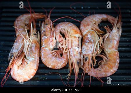 Nahaufnahme von großen Garnelen, die auf einem Grill gegrillt werden Stockfoto