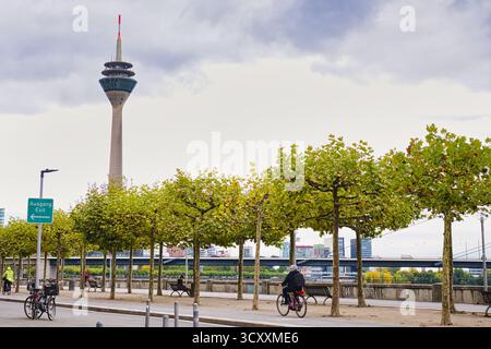 Radfahrer reiten Fahrrad auf der von Bäumen gesäumten Rheinpromenade mit dem berühmten Rheinturm im Hintergrund im Herbst Düsseldorf Deutschland Stockfoto