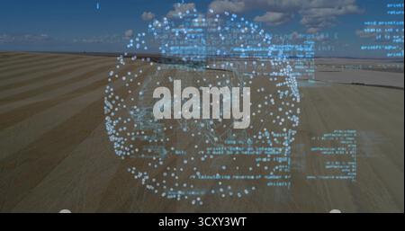 Die holographische Datensphäre, die über Stoppelreihen auf dem Bauernhof schwebt, mit leuchtendem Code-Netzwerk Stockfoto