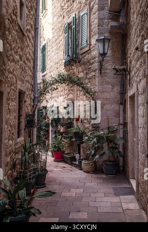 Eine enge, kopfsteingepflasterte Straße in der Altstadt von Kotor, Montenegro, gesäumt von bezaubernden Steinhäusern, Holzläden, schmiedeeisernen Laternen und Blumen Stockfoto