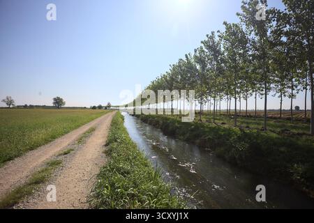 Schotterweg, der eine Kurve in der Ferne neben einer Wiese macht und von einem Wasserbach und einer Reihe von Bäumen an einem sonnigen Tag in der italienischen Landssi begrenzt wird Stockfoto