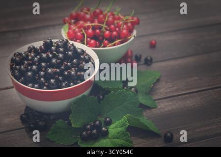 Schwarze und rote Johannisbeeren in Schüsseln Nahaufnahme Hintergrund auf rustikalem Holz Stockfoto
