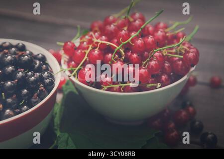 Schwarze und rote Johannisbeeren in Schüsseln Nahaufnahme Hintergrund auf rustikalem Holz Stockfoto