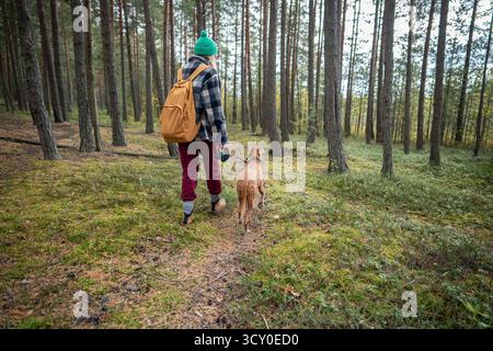 Frau geht mit Vizsla Hund an der Leine im Herbst Kiefernwald auf Pfad umgeben von grünem Moos Rückansicht Stockfoto