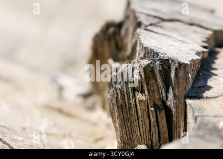 Nahaufnahme eines verwitterten Baumstumpfes mit sichtbaren Rissen und Holzkorn in trockener Umgebung. Stockfoto