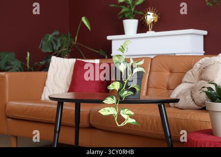Couchtisch mit Zimmerpflanze in modernem Wohnzimmer, Nahaufnahme Stockfoto