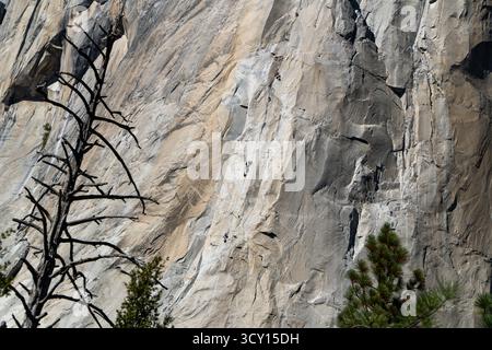 Bergsteiger steigen durch eine granitfarbene Oberfläche hinauf und zeigen die anspruchsvolle Sportart des Kletterns in einer majestätischen Naturkulisse. Stockfoto