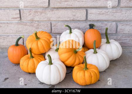 Herbstkürbis-Korb mit weißen und orangefarbenen Kürbissen für saisonale Wohnkultur Stockfoto