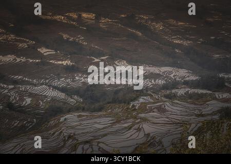 Die Reisterrassen am Standort Bada in Yuanyang County, China. Bada Reisterrassen umfassen eine Fläche von 950 Hektar mit über 3700 Ebenen, die von 800 ME steigen Stockfoto