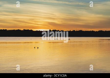 Wenn die Sonne hinter den Baumkronen untergeht, färbt sein goldenes Licht den See in Orange. Zwei Gänse gleiten leise über das glühende Wasser. Stockfoto