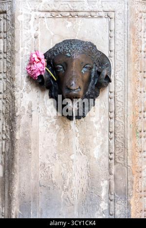 Pizza del Duomo und Neptuno-Brunnen. Trient, Italien Stockfoto