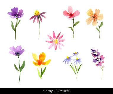 Aquarellset mit losen Wildblumen in Rosa-, Lila-, Gelb- und Blautönen. Perfekt für Hochzeitseinladungen, Verpackungen, Textildrucke, Poster, Karten Stockfoto