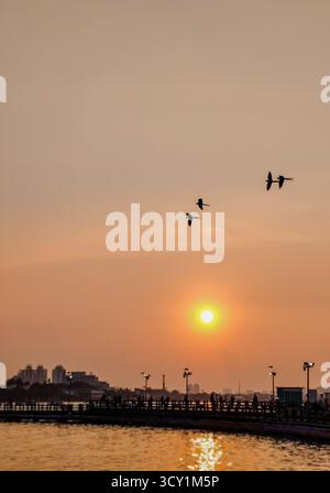 Blick Auf Das Meer Stockfoto