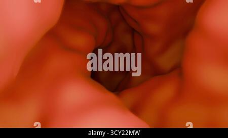 Koloskopische Animation mit Darminhalt. Design Stockfoto