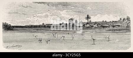 Faza ist eine kleine Stadt an der Nordküste auf Pate Island, Lamu Archipel. Kenia, Ostafrika. Zeichnung von Gaston Vuillier (1845–1915) Reise zwischen den Benadiren, Somalis und den Bayouns, 1882-1883 von Georges Emmanuel Joseph Revoil (1852–1894) Le Tour du Monde 1888 Stockfoto