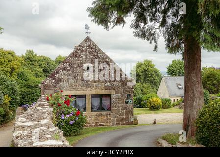 Ein bezauberndes Steinhaus befindet sich entlang einer verwinkelten Gasse, umgeben von üppigen Bäumen und bunten Rosen, im kleinen Dorf Locronan in der Bretagne, Frankreich. Stockfoto