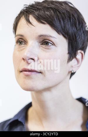 DEU Deutschland Leipzig Porträt der Bundesvorsitzenden der AFD, Alternative für Deutschland, Frauke Petry, im Büro der AFD Sachsen Stockfoto