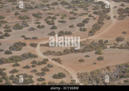 Ein gewundener Schotterweg durchquert ein weitläufiges Gebiet mit niedrigen Büschen und karger Vegetation. Das Gelände zeigt erdfarbene Töne unter klarem Himmel, Stockfoto