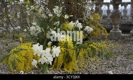 Frühlingsblumen schmücken einen Kiesweg in der Nähe einer Steingeländer. Aktion Stockfoto