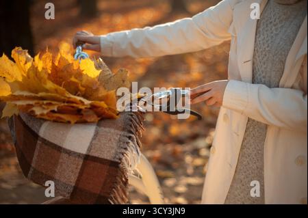 Zugeschnittene Ansicht einer Frau, die mit dem Fahrrad läuft und den Herbst genießt Stockfoto