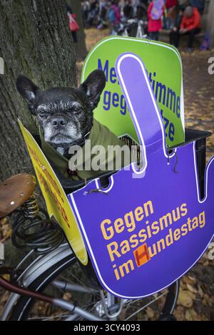 DEU Deutschland Berlin große Demonstration gegen Rassismus im Deutschen Bundestag, bedingt durch den Beitritt der AFD. Alter Hund in einem Fahrradkorb auf der Stockfoto