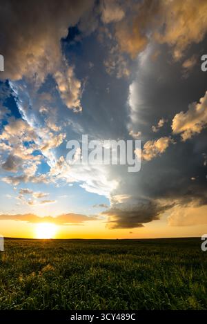 Die untergehende Sonne beleuchtet eine spektakuläre Sturmwolke über wunderschönen Feldern, die goldene Töne, dramatische Himmel, lebendige Landschaft und Natur vereint Stockfoto