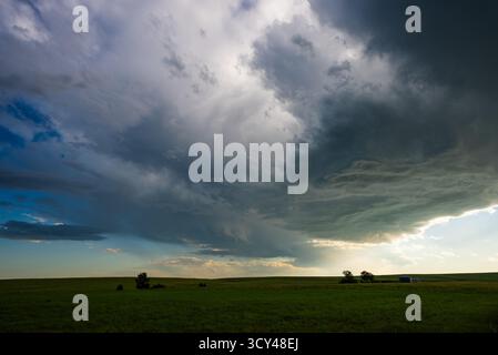 Wunderschöne Szene, in der sich Sturmwolken über den blauen Himmel über üppigen grasbewachsenen Feldern bewegen, mit dramatischem Kontrast, Textur und stimmungsvoller Atmosphäre, die Schönheit verschmelzen Stockfoto