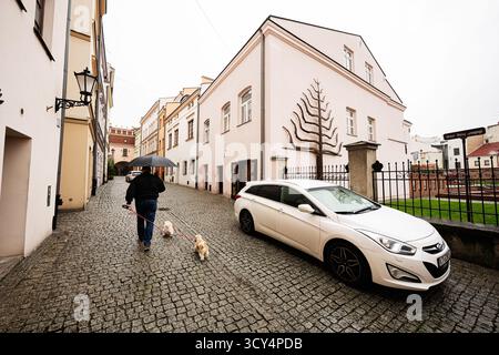 Tarnow, Polen - 10. Oktober 2025: Ein Mann geht mit zwei kleinen Hunden entlang einer Kopfsteinpflasterstraße in Tarnow, Polen, neben einem weißen Auto und Pastellhäusern. Stockfoto
