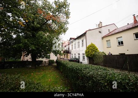 Tarnow, Polen - 10. Oktober 2025: Ruhige Wohnstraße in Tarnow mit Bäumen, Hecken und weißen Fassaden. Stockfoto