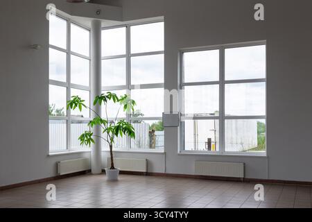 Ein geräumiger, heller Raum mit hoher Decke, großen getäfelten Fenstern und einer üppig grünen Pflanze auf gefliestem Boden. Stockfoto