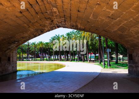 Unter der Brücke Pont del Mar in den Gärten von Turia, El Jardin de Turia, in Valencia Spanien Stockfoto